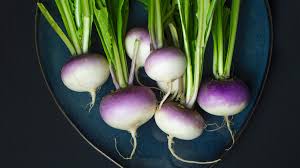 Image result for turnip