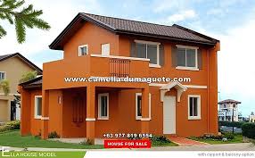 A visit to apo island usually starts from dumaguete, negros, cebu, or malapascua. Camella Dumaguete Philippines House Lot For Sale In Dumaguete