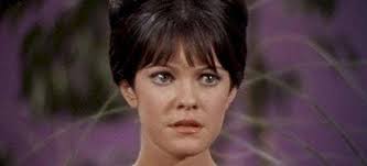 Mother's Day Interview: Julie Cobb & Rosemary Morgan