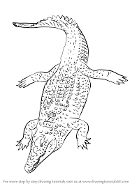 Typically tiles are used from 2d tilemaps to construct flat scenes, but crocotile 3d adds another dimension. Crocodile Drawing Easy