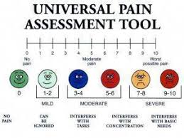 Pin On Online Nursing Schools