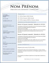 Modele de curriculum ideal pour se demarquer des autres candidats. Exemple Cv Gratuit Chauffeur Livreur Cv Anonyme Exemple Cv Gratuit Exemple Cv Cv Gratuit