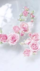 Discover (and save!) your own pins on pinterest. Wallpaper Pink Roses Flowers Pink Flowers