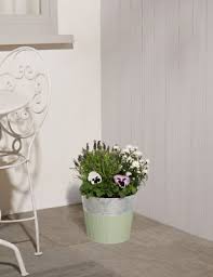 We did not find results for: Outdoor Plants M S