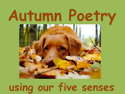 How To Write An Autumn Poem Using Your Senses Ks2 Powerpoint And Lesson Plan Fall Lesson Plans Autumn Poems Poetry Teaching Resources
