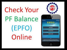Check Pf Balance In Online In 2020 Balance Passbook Online