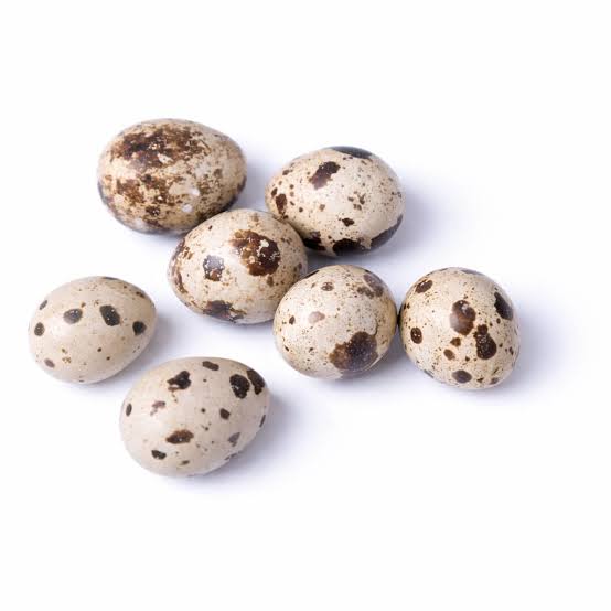 Ovos de Codorna 20uni