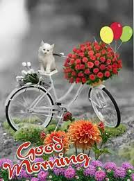 Flowers apple elegantly box gift heart life graphy. Lovely Flowers Home Facebook