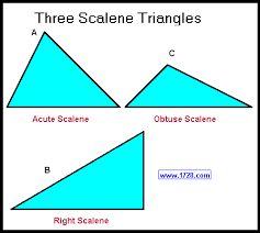 Different Types Of Triangles (Video & Practice Questions)