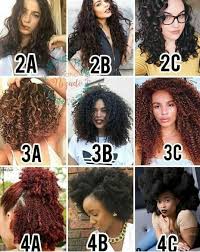 Hair Type Guide Curly Hair Styles Hair Type Chart Natural Hair Styles
