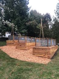 We did not find results for: To Build Wood Framed Beds Or Not To Build Wood Framed Beds Seattle Urban Farm Company