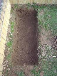 Exemple D Enclos Pour Tortues Adultes Enclos Tortue Enclos Tortue De Terre Tortue