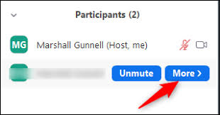 Are you participants getting host has disabled participant screen sharing error on zoom? How To Change The Host Of A Meeting In Zoom