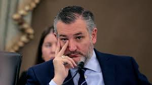 Naperville seeking expert panel advice