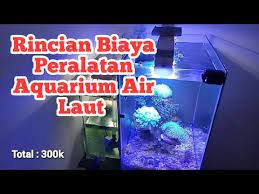 Harga air laut asli 19 liter untuk akuarium laut (natural salt water) rp14.000. Pin Di Aquarium