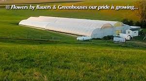 We did not find results for: Flowers By Bauers Home Facebook