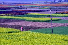 images?q=tbn:ANd9GcTNU5uy2NOSeFN ONL9uZQMO7uPnpeShbFynw&usqp=CAU