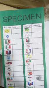 Ballot Papers Archives The Sun Nigeria