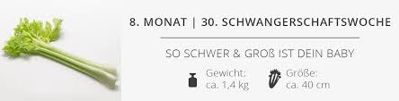 Ssw nun vom scheitel bis zur ferse und damit hat es schon eine beeindruckende größe erreicht. 30 Ssw Schwangerschaftswoche Das Erlebst Du In Der 30 Schwangerschaftswoche