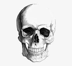 Check spelling or type a new query. Pencils Drawing Skull Skull Face Drawing Free Transparent Png Download Pngkey