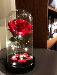 Pin On Disney Beauty And The Beast Rose