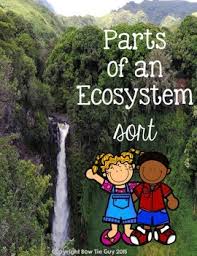 Parts Of An Ecosystem Vocabulary Sort Ngss Science 4th Grade Science Ecosystems