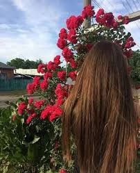 صور اجمل بنت محجبة,صور محجبات ايرانيات صور محجبات اسلاميه صور محجبات عراقيات صور محجبات فيس بوك صور محجبات تركيات رمزيات بنات بالحجاب صور عيون بنات محجبات. ØµÙˆØ± Ø¨Ù†Ø§Øª Ù…Ø¹ Ø§Ù„ÙˆØ±Ø¯