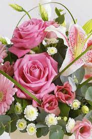 BELLAS FLORES PARA ALEGRAR TU TARDE???????????????????? | By Amistad, Paisajes,Rosas,  Flores y más | Facebook