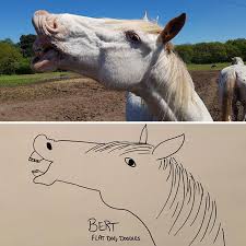 Ota yhteyttä sivuun animal memes messengerissä. Person Draws His Dog Accidentally Creates Masterpieces Bored Panda