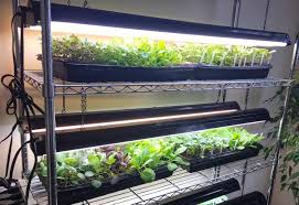 27 Diy Led Grow Lights For Growing Plants Indoors Home Grow Lights Diy Led Indoor Light Indoors In 2020 Indoor Grow Lights Indoor Plants Diy Growing Indoors