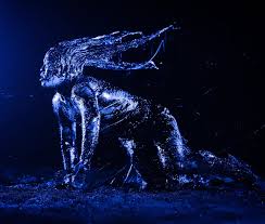 Bildergebnis für Joshua Serafin