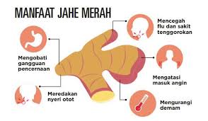 Madu tersusun dari glukosa, fruktosa dan air. Ini Lho Khasiat Dari Jahe Merah Kompasiana Com