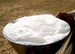 Available raw or pasteurized, some say only recently has camel milk become available for purchase in the united states. Benefits Of Camel Milk Amos Miller Organic Farm