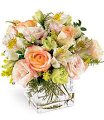 Discover wide range of best sellers flowers in our erie flower shop. Gift Garden At Giant Eagle Floral Buffalo Rd Erie Pa 16510