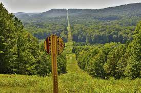 Did you know colonial pipeline owns and operates two solar farms in new jersey? Pdlfc5xkb8wxm