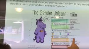 نتيجة بحث الصور عن ‪gender unicorn‬‏