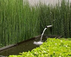 Gartenbau Ideen Wie Schachtelhalm Schilf Wachsen Dekor Mobel Wasserspiel Garten Moderne Landschaftsgestaltung Landschaftsdesign