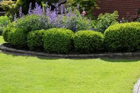 The typical raised bed is a shallow frame made of wood (the edging component) that is filled with soil and plants. Gorgeous Landscape Designs And Modern Garden Edging Ideas Deavita