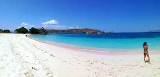 However, numerous tourists visit the island on a daily. Pretty In Pink Komodo Island S Pink Beach Point And Shoot Wanderlust