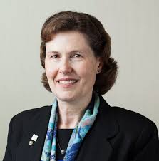 Here Comes the Sun Our Honorees