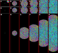 The act of putting someone in a room, pr. Confinement Induced Self Organization In Growing Bacterial Colonies Science Advances