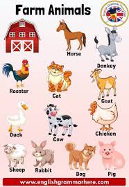 farm animals names definition and examples farm animals farm animals are animals that feed in an environment live farm animals farm animals preschool animals