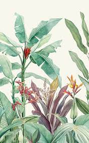 Botanical pastel flower doodle print transparent png, remix from original artwork. Pin On Lily Room Ideas