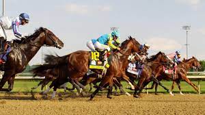 The derby regularly brings a crowd of more than 150,000 to churchill downs. 2019 Kentucky Derby Horse Racing Evolved Post Santa Anita Nbc Sports