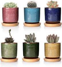 Substrato de máxima calidad idóneo para cactus, plantas crasas y suculentas. 390 Ideas De Herramientas Para Suculentas Y Cactus Accesorios De Jardineria Herramientas De Jardineria Suculentas Jardineria