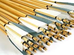 These are the recommended solutions for your problem. The Easiest Way To Distinguish And Select The Best Arrows For Yourself