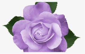 38,000+ vectors, stock photos & psd files. Purple Flower Vine Clipart Free Flowers Healthy Transparent Background Purple Flowers Png Png Download Kindpng