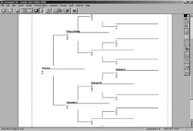 Not sure what to expect? A Standard Pedigree Tree At Family Tree Maker 2005 Download Scientific Diagram