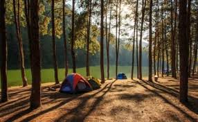 Jun 14, 2021 · liputan6.com, jakarta wisata alam jogja terbaik dan populer tak jauh dari sudut kotanya. 10 Tempat Wisata Di Jogja Dengan Pemandangan Alam Paling Indah