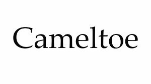 How do you say 'camel' in spanish? How To Pronounce Cameltoe Youtube